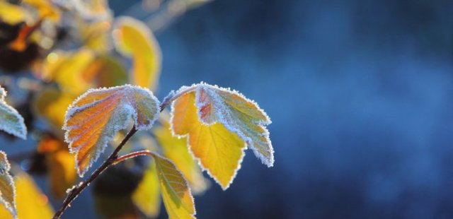 Дем алыс күнлери ҳаўа райы кескин суўыта ма?