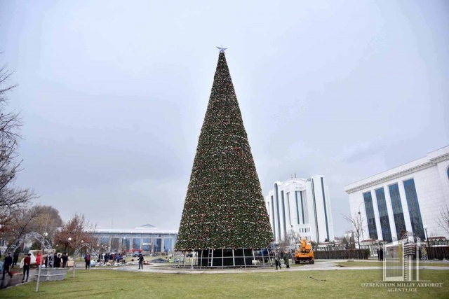 Жаңа жыл бас аршасы орнатылды. Оның узынлығы неше метр? (+фото)