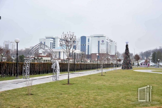 Жаңа жыл бас аршасы орнатылды. Оның узынлығы неше метр? (+фото)