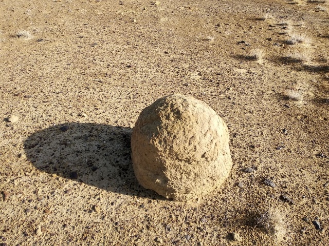 Әмиўдәрьядағы 50 миллион жыллық «динозавр мәйеклери» ҳаққында билесиз бе?