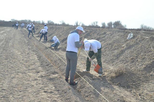 НМПИ студентлери Арал бойы аймағында бағ жаратыў жумысларына белсене қатнасты НМПИ студентлери Арал бойы аймағында бағ жаратыў жумысларына белсене қатнасты