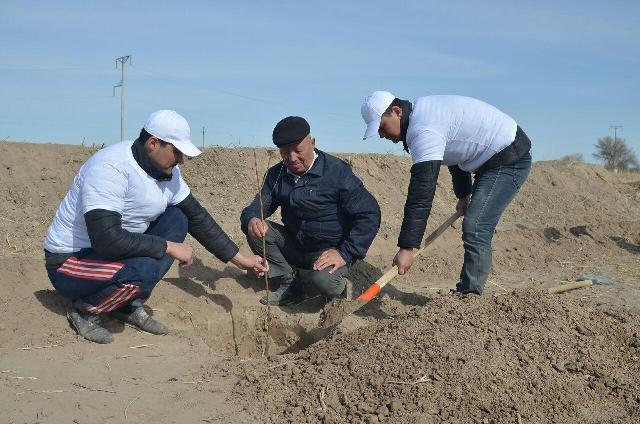 НМПИ студентлери Арал бойы аймағында бағ жаратыў жумысларына белсене қатнасты НМПИ студентлери Арал бойы аймағында бағ жаратыў жумысларына белсене қатнасты