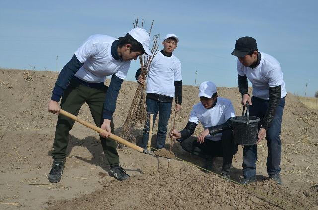 НМПИ студентлери Арал бойы аймағында бағ жаратыў жумысларына белсене қатнасты НМПИ студентлери Арал бойы аймағында бағ жаратыў жумысларына белсене қатнасты