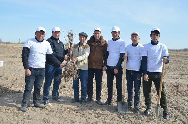 НМПИ студентлери Арал бойы аймағында бағ жаратыў жумысларына белсене қатнасты НМПИ студентлери Арал бойы аймағында бағ жаратыў жумысларына белсене қатнасты
