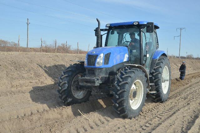 НМПИ студентлери Арал бойы аймағында бағ жаратыў жумысларына белсене қатнасты НМПИ студентлери Арал бойы аймағында бағ жаратыў жумысларына белсене қатнасты