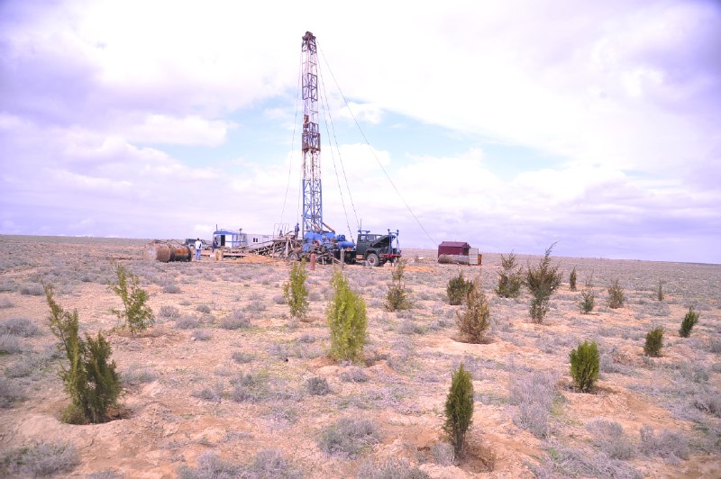 Аралдың қақ ортасында жасыл оазис пайда етилмекте