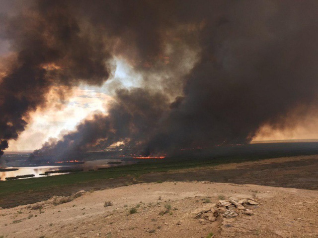 Судочье көлинде өрт келип шығыўына не себеп болғаны мәлим болды
