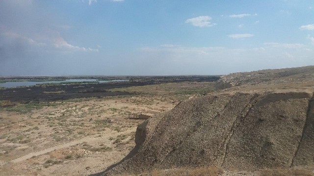 Судочьедеги өрт ҳайўанат ҳәм қуслар дүньясына зыян келтирди ме? (рәсмий мағлыўмат) Судочьедеги өрт ҳайўанат ҳәм қуслар дүньясына зыян келтирди ме? (рәсмий мағлыўмат)