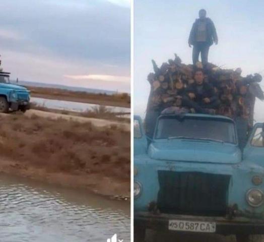 Қорықханадағы бес гектарлық жердеги тереклер қопарылып, орнына салы егилгени ҳаққындағы хабарлар қаншелли ҳақыйқат?