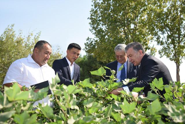 Президент Та&#1179;ыятас районында &#1171;аўашаны&#1187; раўажланыў барысын к&#1257;зден &#1257;ткерди