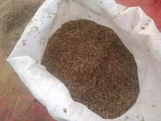 Әндижанда Арал теңизиниң қурыған ултанына егиў ушын 1 миллион дана сексеўил нәллери жетистирилмекте Әндижанда Арал теңизиниң қурыған ултанына егиў ушын 1 миллион дана сексеўил нәллери жетистирилмекте