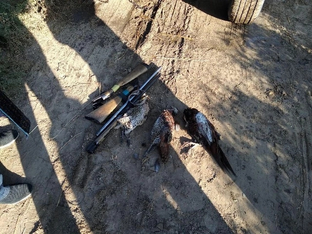 Қанлыкөлде нызамсыз түрде қырғаўыл аўлаған пуқаралар усланды