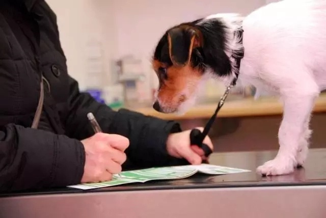 Шарўа малларын қамсызландырыў тәртиби белгиленди