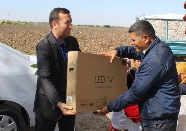 Әмиўдәрьяда алдынғы фермерге Кобалт саўға етилди Әмиўдәрьяда алдынғы фермерге Кобалт саўға етилди