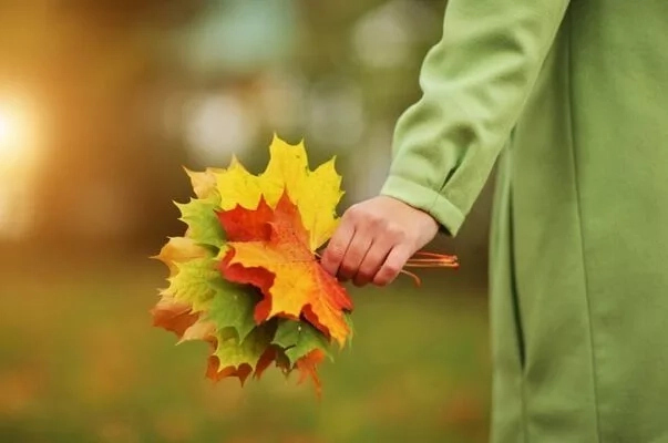 Өзбекстанда октябрь айында ҳаўа райы қандай болады? Өзбекстанда октябрь айында ҳаўа райы қандай болады?