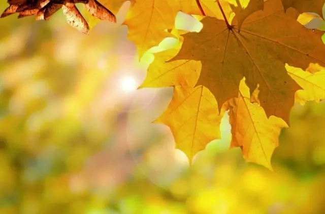 10-октябрь күнги ҳаўа райы мағлыўматлары 10-октябрь күнги ҳаўа райы мағлыўматлары