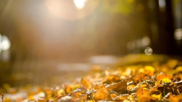 18-октябрь күни Қарақалпақстанда күтилетуғын ҳаўа райы мағлыўматы