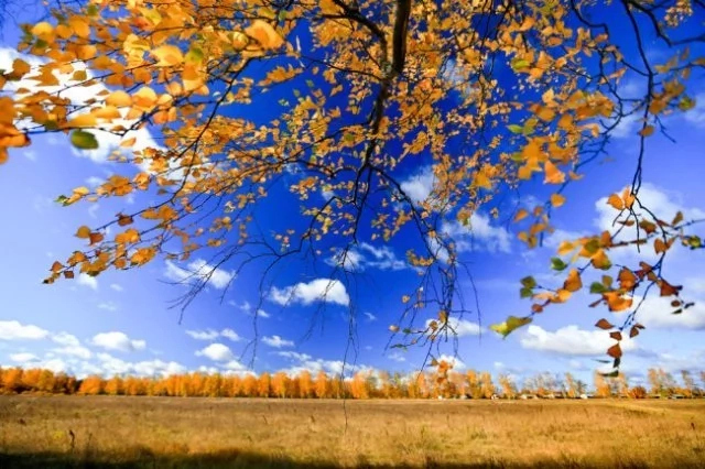 29-октябрь күнги ҳаўа райы мағлыўматы