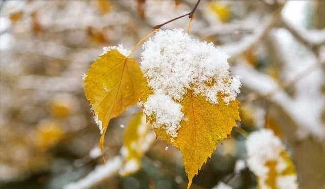 Усы ҳәптеде Өзбекстанда ҳаўа райы кескин өзгерип, қар жаўыўы мүмкин
