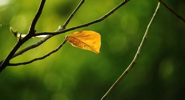 24-ноябрь күни Қарақалпақстанда күтилетуғын ҳаўа райы мағлыўматы