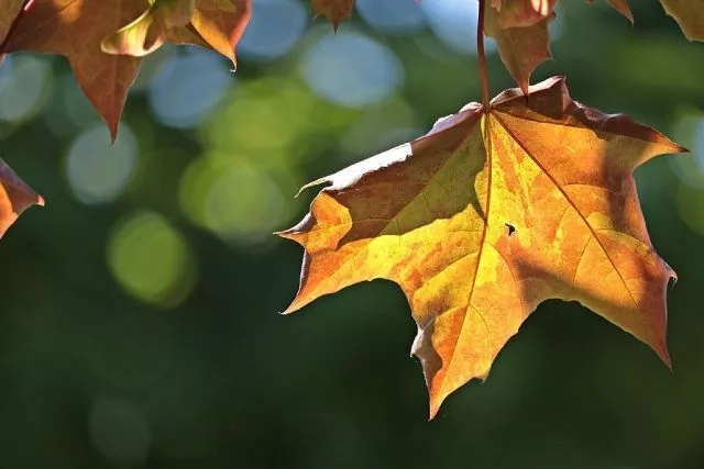 Қыстың биринши күнинде Қарақалпақстанда қандай ҳаўа райы күтиледи?