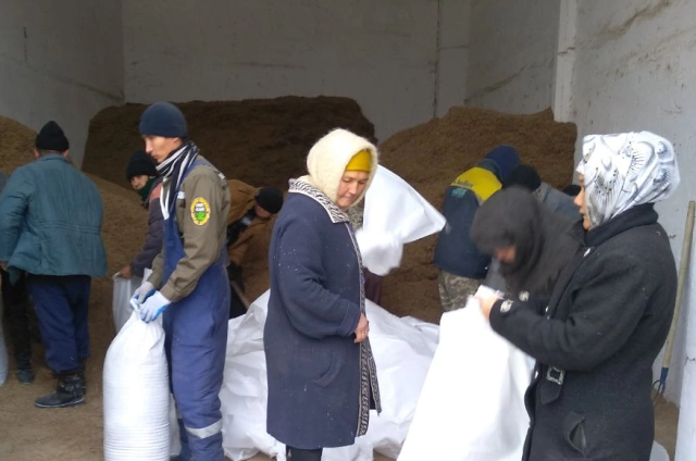 Мойнақта халық тәрепинен күнине 20 тоннаға шамалас сексеўил туқымлары тапсырылмақта