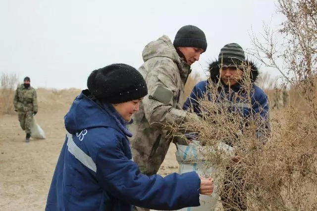 Жаслар басламасы: Мойнақта жаслар сексеўил туқымын жыйнаў ушын бирлести Жаслар басламасы: Мойнақта жаслар сексеўил туқымын жыйнаў ушын бирлести