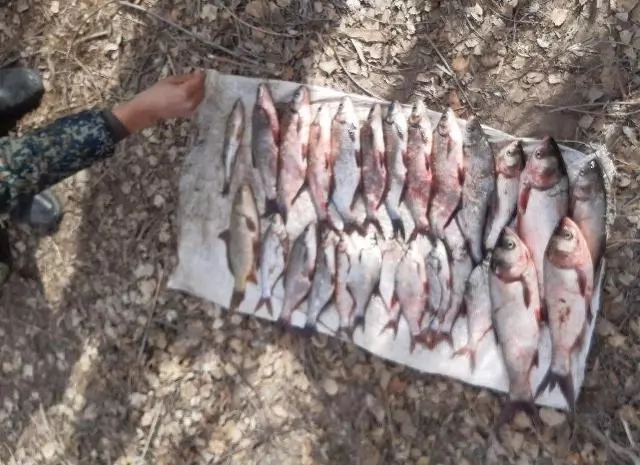 Мойнақта еки пуқара нызамға қайшы түрде балық аўлады. Оларға жәми 4 миллион сумға шамалас жәрийма есапланды