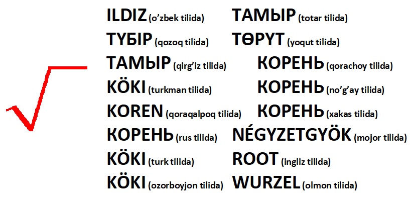 QORAQALPOQ TILIDA “KOREN” (КОРЕНЬ) SO&#699;ZI O&#699;RNINI BOSADIGAN SO&#699;Z YO&#699;QMI? MATEMATIKADA “ILDIZ” ATAMASI HAQIDA