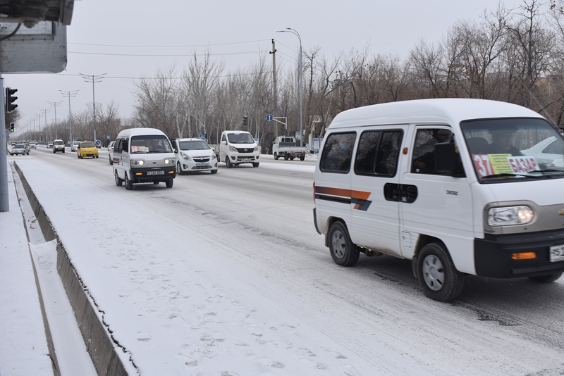 Н&#1257;кисте &#1179;ыс зийнети (фото)