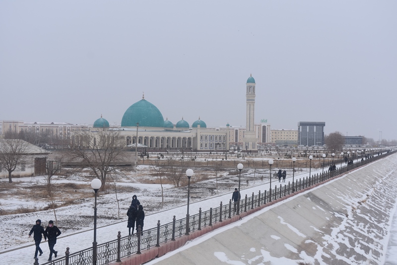 Н&#1257;кисте &#1179;ыс зийнети (фото)