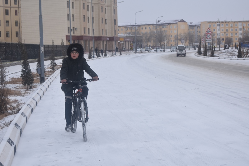 Н&#1257;кисте &#1179;ыс зийнети (фото)