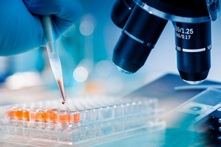 Илимий-изертлеў орайларындағы илимий ҳәм басшы хызметкерлердиң айлық ис ҳақылары көбейтилди