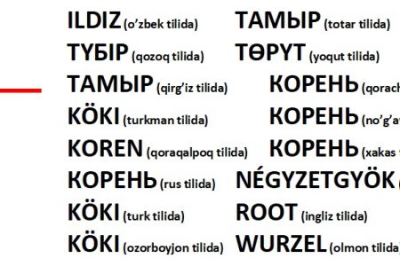 QORAQALPOQ TILIDA “KOREN” (КОРЕНЬ) SOʻZI OʻRNINI BOSADIGAN SOʻZ YOʻQMI? MATEMATIKADA “ILDIZ” ATAMASI HAQIDA