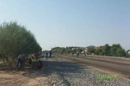 Қанлыкөл районы ҳәкими жуўап берди: Районда шынында да мәжбүрий мийнетке жол қойылып атыр ма?