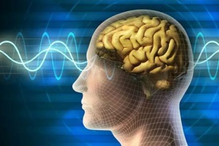 Ҳаяллардың мийи 15-19 жасқа шекем өседи, ер адамлардики ше?