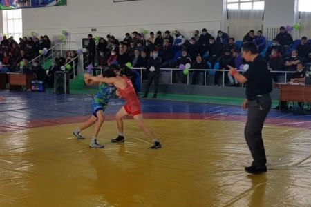 Спорт гүреслери бойынша Өзбекстан чемпионатында жерлеслеримиз 4 медальды қолға киргизди