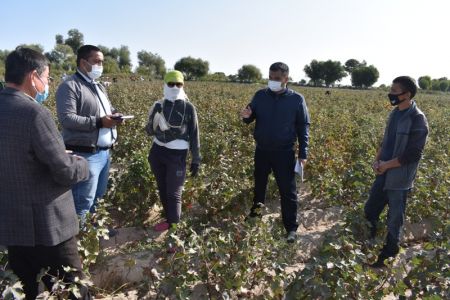 Ишчи гуруҳ аъзолари Хўжайли ва Кегейли туманларига ташриф буюрди