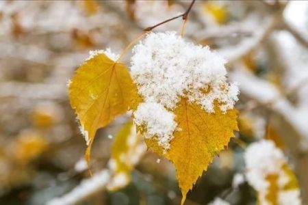 Усы ҳәптеде Өзбекстанда ҳаўа райы кескин өзгерип, қар жаўыўы мүмкин