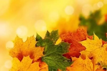 15-октябрь күни Қарақалпақстанда күтилетуғын ҳаўа райы мағлыўматы