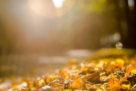 18-октябрь күни Қарақалпақстанда күтилетуғын ҳаўа райы мағлыўматы