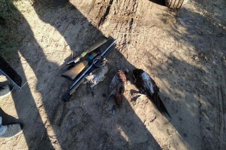 Қанлыкөлде нызамсыз түрде қырғаўыл аўлаған пуқаралар усланды