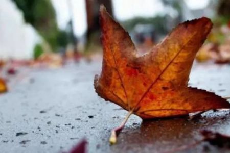 23-ноябрь күни Қарақалпақстанда қандай ҳаўа райы күтиледи?