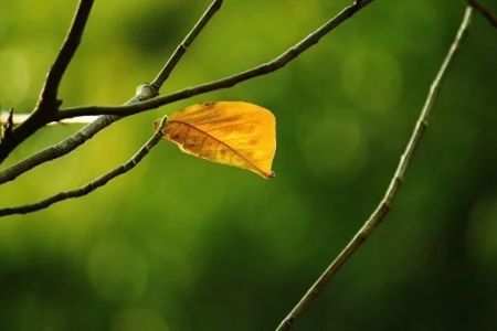 24-ноябрь күни Қарақалпақстанда күтилетуғын ҳаўа райы мағлыўматы