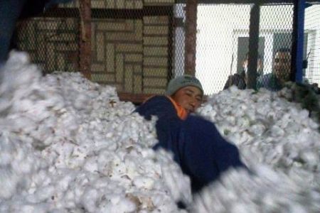 Пахта салынған трактор тиркемесине 330 кг топырақ салынған 5 қалта, 6 ғарбыз, және биреўиниң ишине адам қалай түсип қалды?