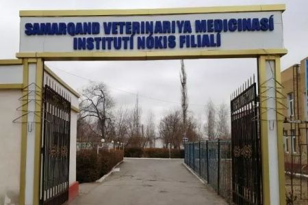 Самарқанд ветеринариялық медицина институты Нөкис филиалы оқыўды жаңа имаратта баслады