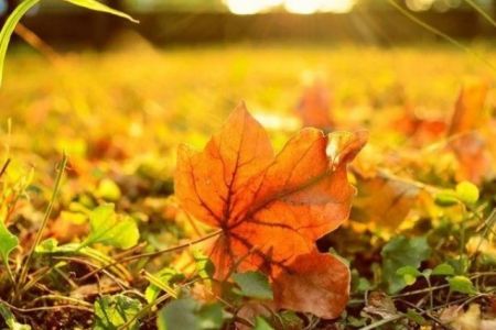 19-ноябрь күни Қарақалпақстанда күтилетуғын ҳаўа райы мағлыўматы